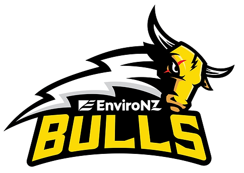 Bulls Basketball logo